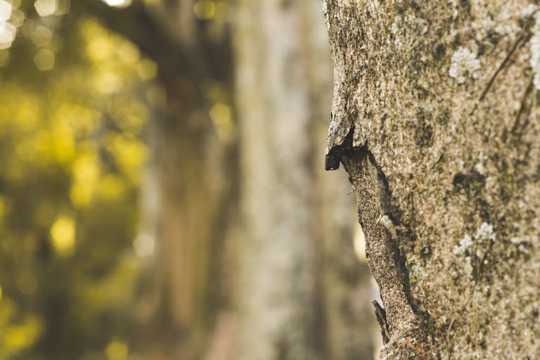 trasformazione interiore